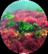 Group Image