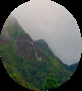 Group Image