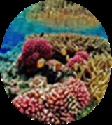 Group Image