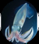 Group Image