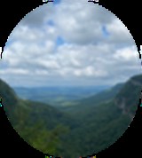 Group Image