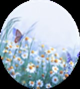 Group Image