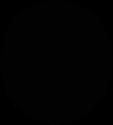 Group Image