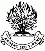Group Image