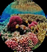 Group Image